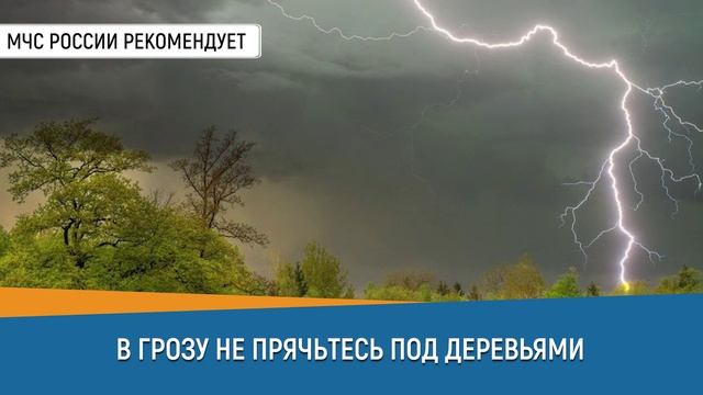 В грозу не прячьтесь под деревьями