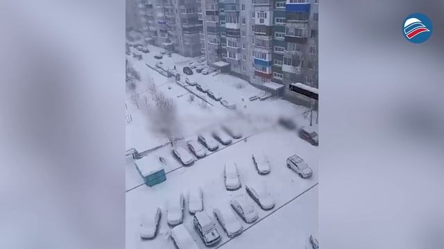 Стаи бродячих животных угрожают детям: герой-сосед спас ситуацию