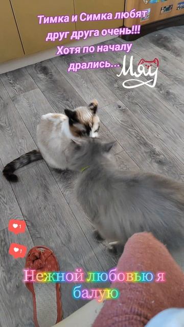 #Мои😍😍😍😍