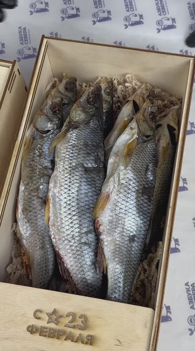 Скоро 23 февраля, а это время подарков! 🎁