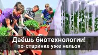 Даешь биотехнологии!