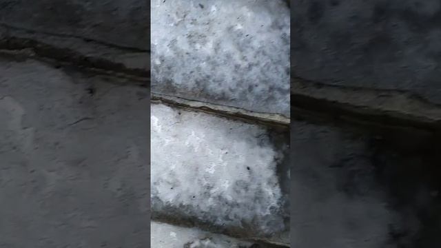 Огромный костер в подвале заброшки