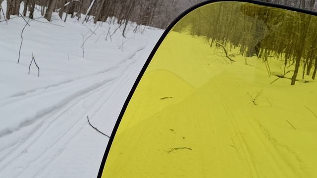 Бурлак АЗИМУТ катаюсь по лесу!( отрывок)