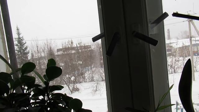 Малыш и вишни