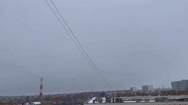 BioTeach Магнитный понедельник!