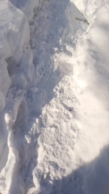 на озере