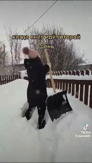 26 января 2024 г.