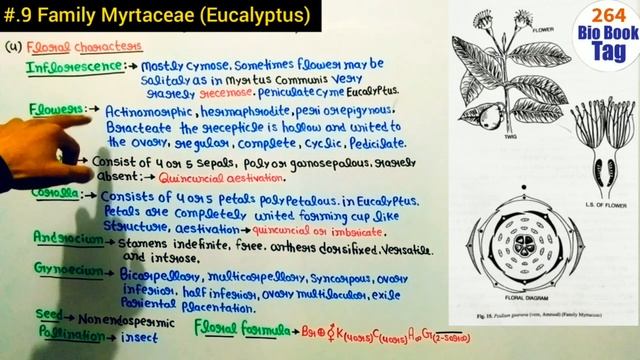 Family Myrtaceae||Floral daigram and floral formula and Economic importance||B.Sc 2 year