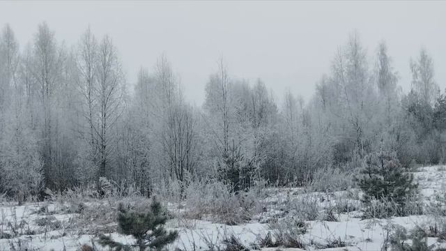 Белоснежные пейзажи