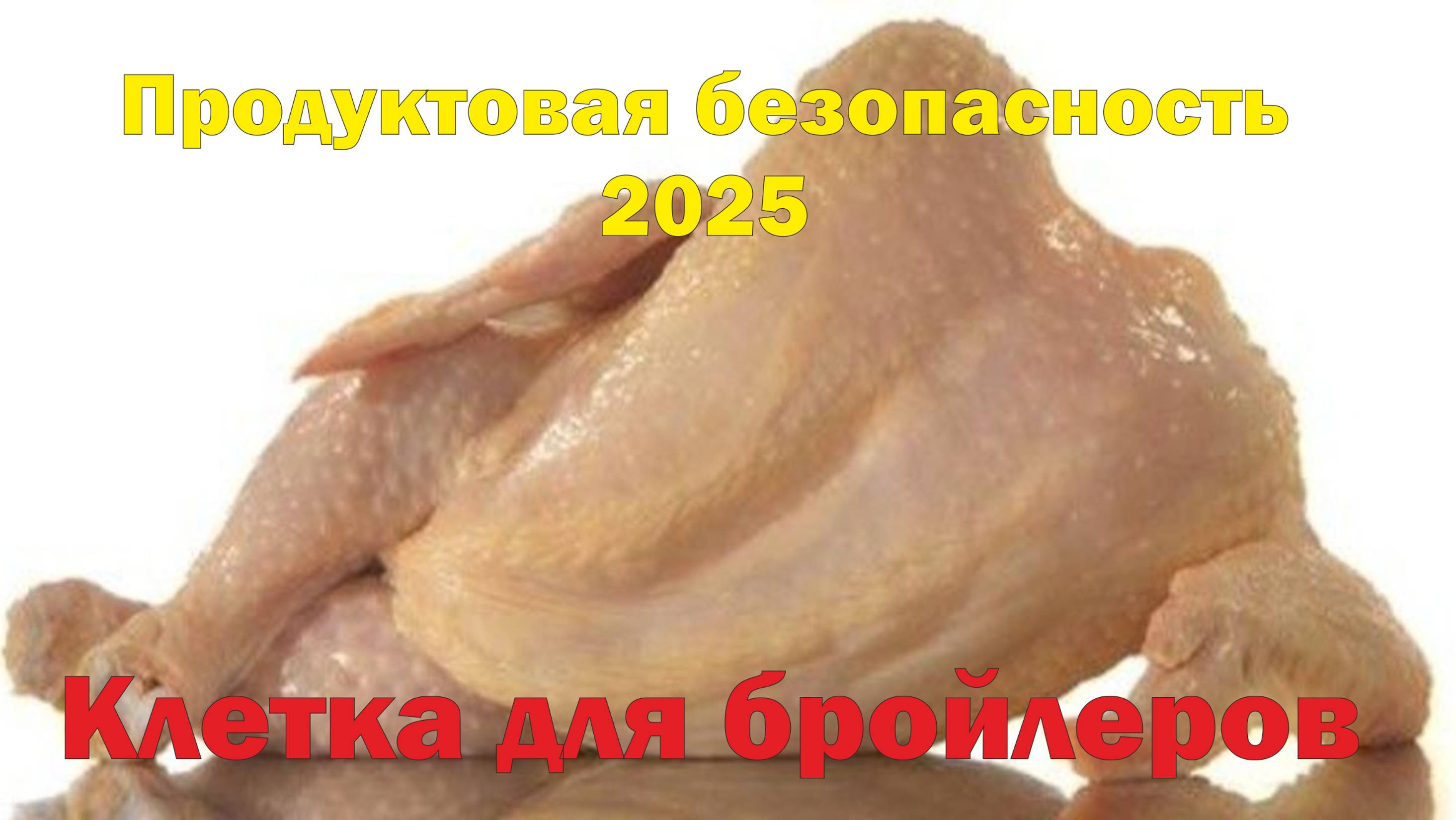 Продуктовая безопасность семьи 2025, обзор клетки для бройлеров