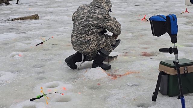 10.02.25 г. Парк отдыха водопад