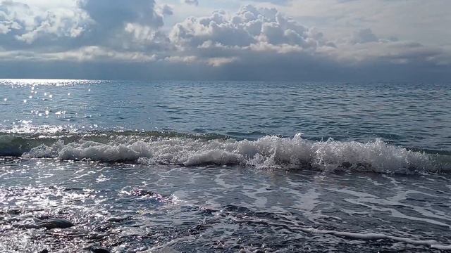 чистое Чёрное море 🐳