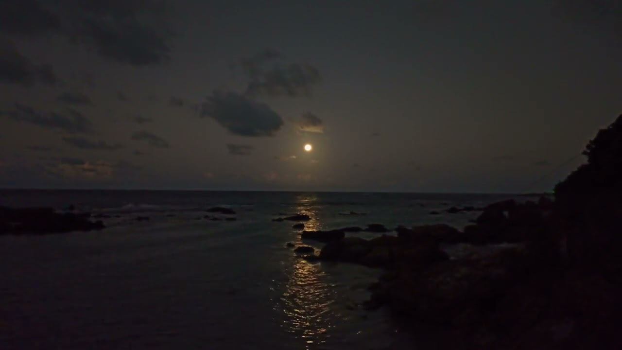 Magical light of the rising moon.  Tropical full moon