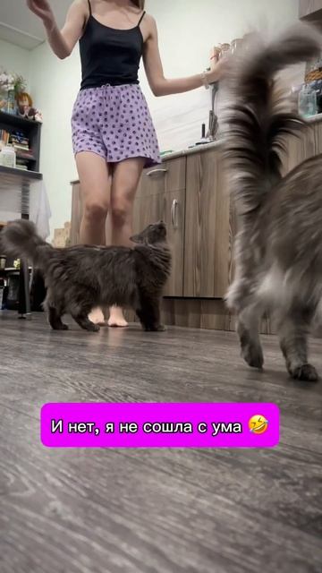 А ВЫ ТАК ДЕЛАЕТЕ? #cats #top