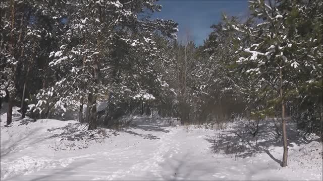 " Осенний снег "