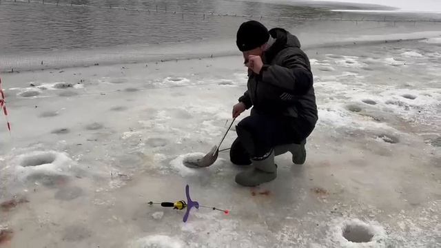 10.02.25 г. РК Волна