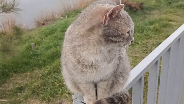 Анапа. Сегодня чуть потеплело и умиротворение погоды. 10 февраля 2025. 13.30