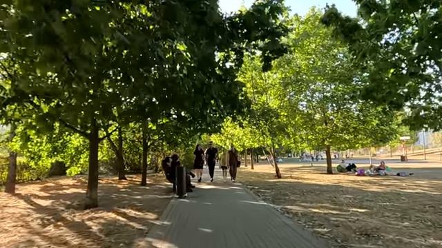 Знаю я твою работу, сидишь там, глазками стреляешь! – заявил муж Евгении… А найдя купюру с телефоном