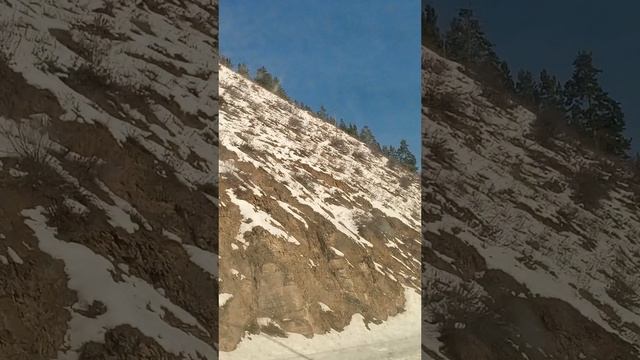 дорога в Б.Голоусное