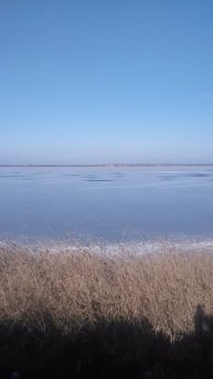 VID_20250210_143747.mp4