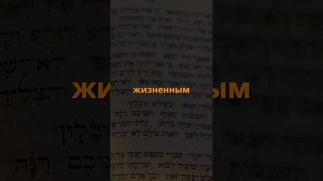 Кто такие законники?