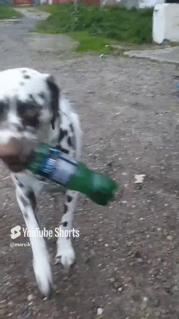 на позитиве))))