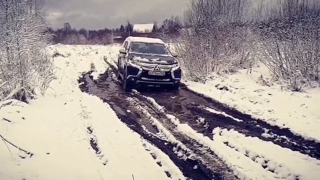 Паджерик на прогулке.