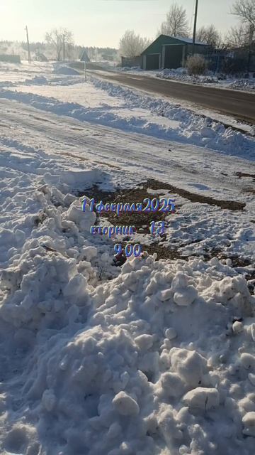 11февраля2025
