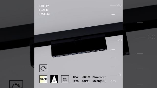Трековый светильник Technical TR033-4-12W3K-M-DS-B
