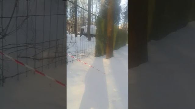 VID-20250211-WA0018