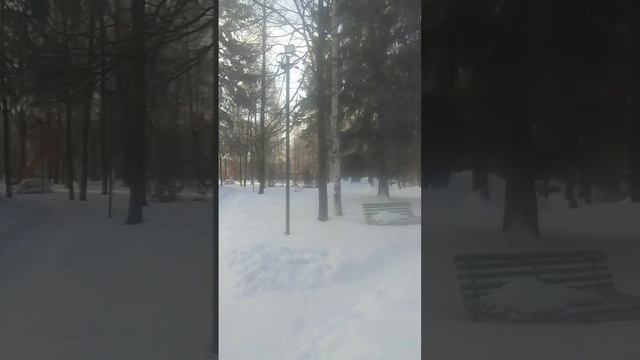 VID-20250211-WA0024