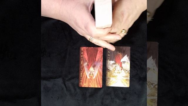 12стрелец