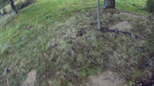 2 ноября неугомонные опять на рыбалке18г