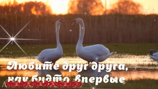 С днём святого Валентина. Музыкальная открытка поздравление.