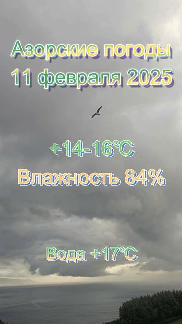 Азорские погоды 11 февраля 2025