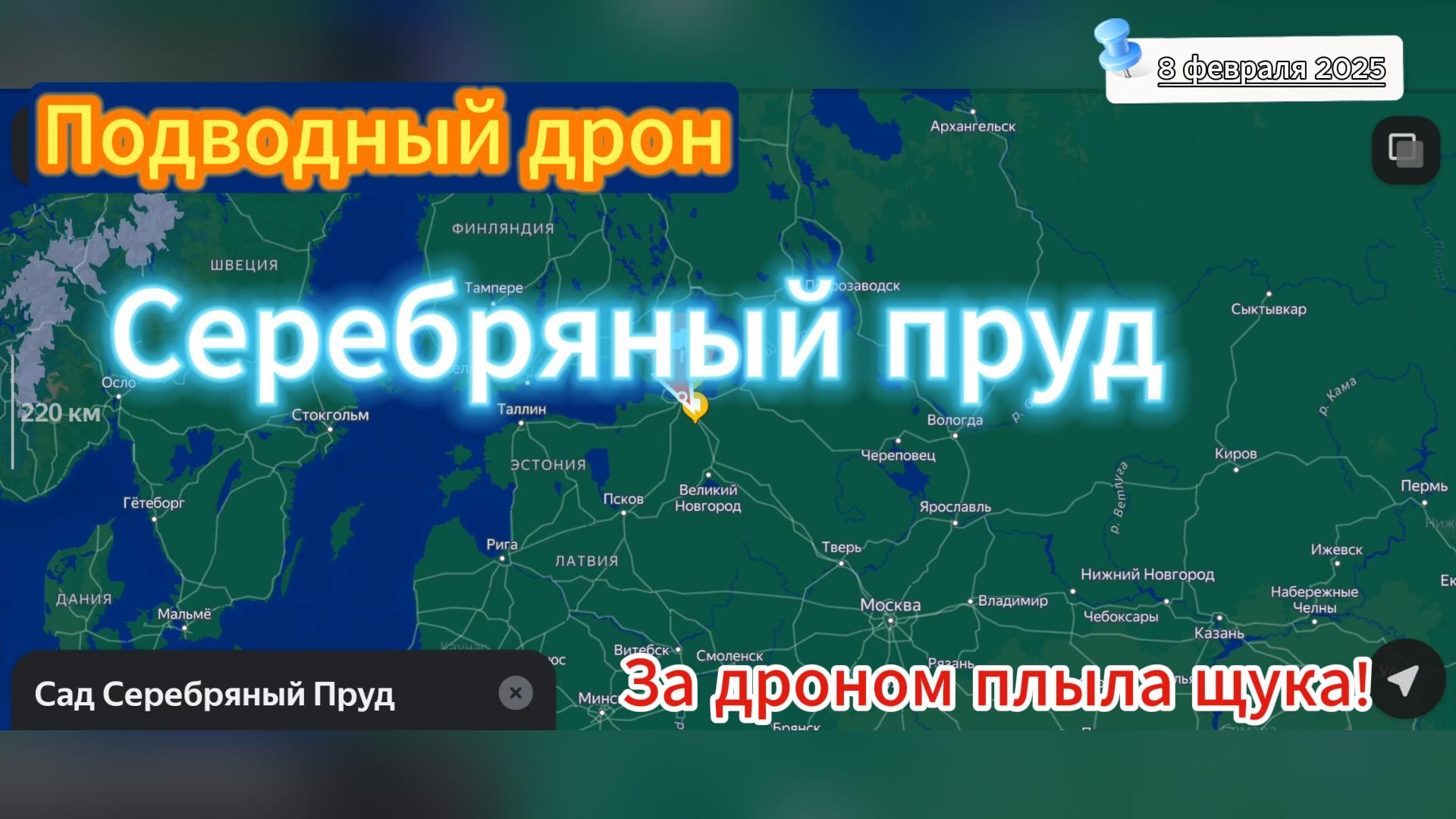 Исследование Серебряного пруда в СПб: Как подводный дрон открыл завесу повадок Окуней и Щуки