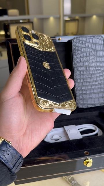 iPhone 16 Pro Ornate Aristocrat