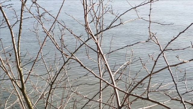 Керчь. Приморский парк сегодня 11.02.25