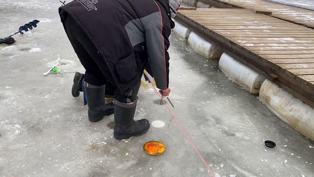 Сразу две поимки по соседству!