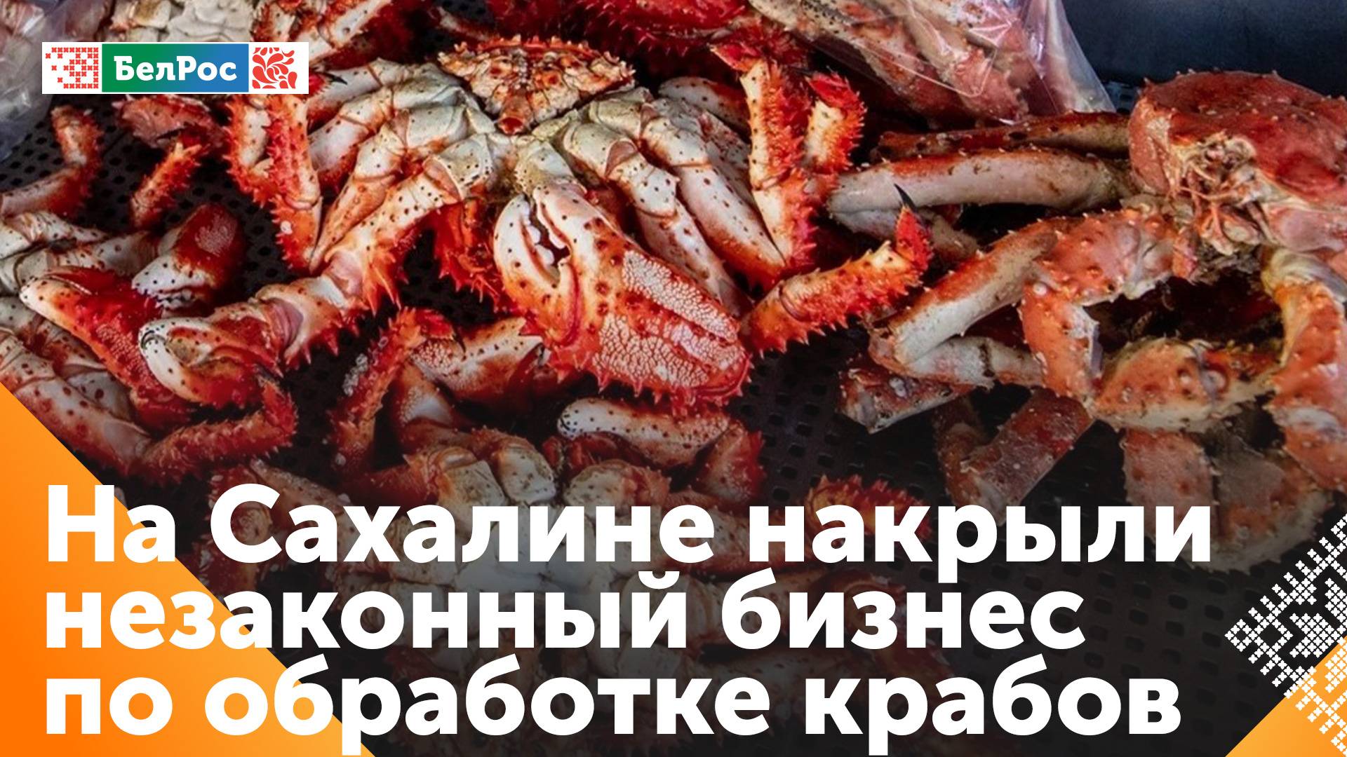 Сотрудники ФСБ изъяли более 2 тонн краба и крабового мяса на Сахалине