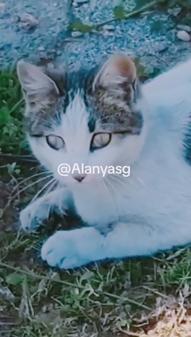 11 февраля НА МОРЕ. ТУРЦИЯ 2025.