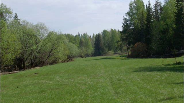 Песня - ЛЕТНИЙ РОК - н - РОЛЛ