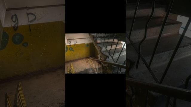 2025-02-11-202502653.mp4 Елена Дружиненко Воркута ...самый жуткий дом в городе!!!