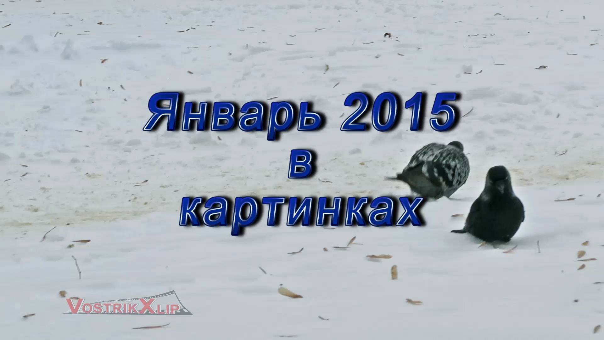 2015.01.01-30 Январь в картинках