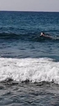 11 февраля НА МОРЕ. ТУРЦИЯ 2025.