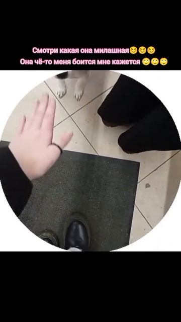 Не дай себя приучить