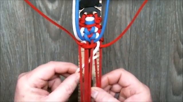 How To Make a _Megalodon_ or Trilobite Double Jaw Bone(360P)