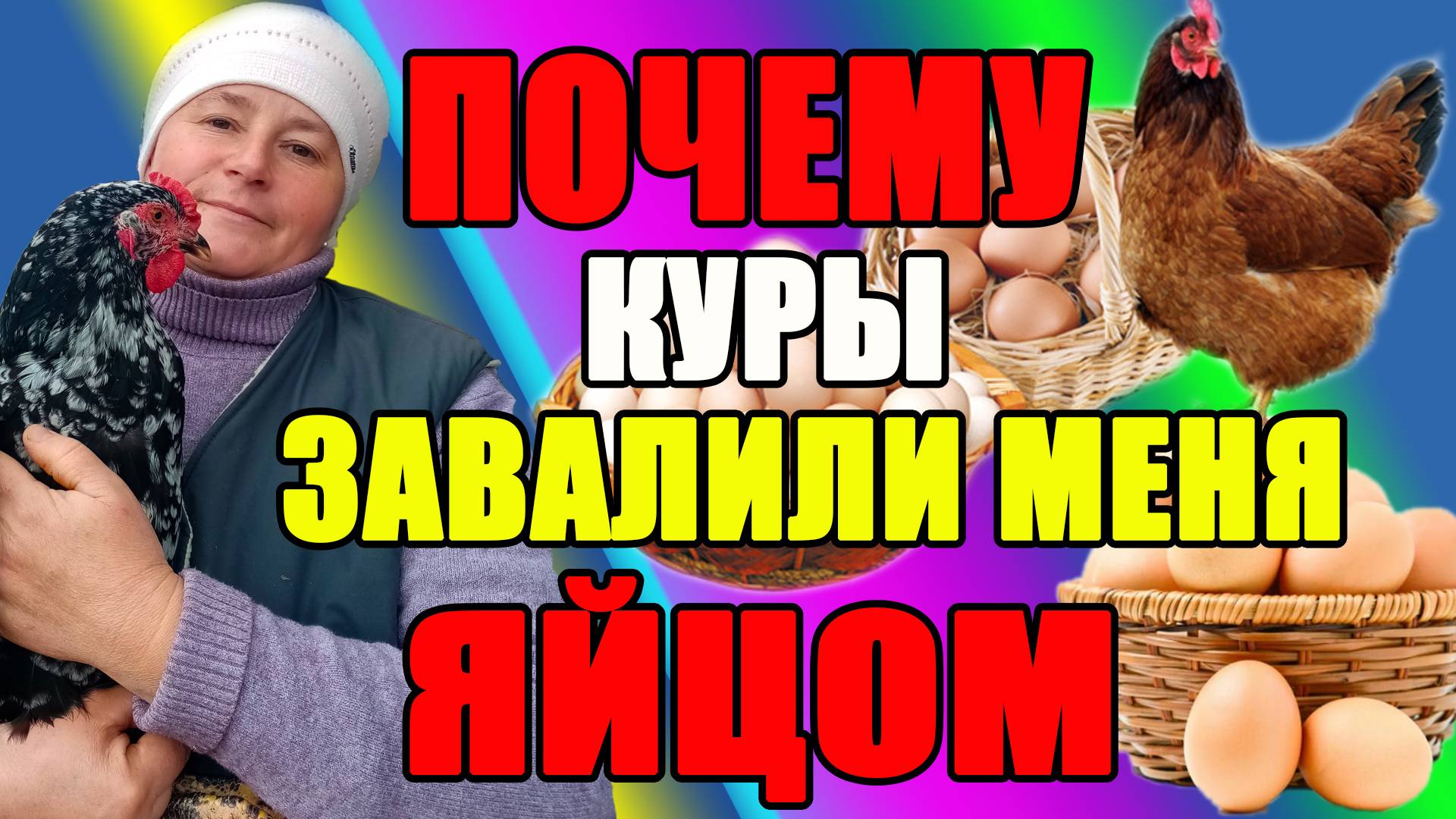 Почему мои куры ЗАВАЛИЛИ меня яйцом. Мои секреты.
