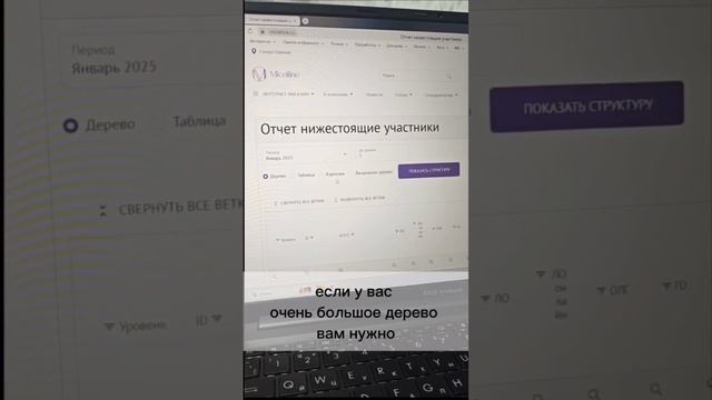 как посмотреть свою структуру