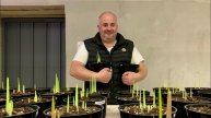 Поставка луковиц тюльпанов. Открытие филиала в Беларуси. Выращивание цветов каллы.